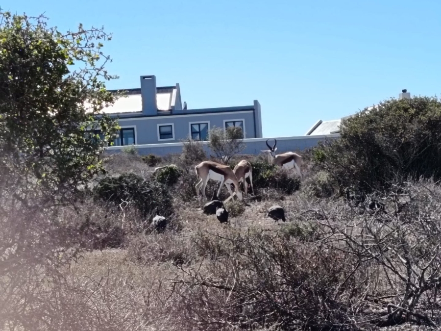 Commercial Property for Sale in Hoogland Western Cape